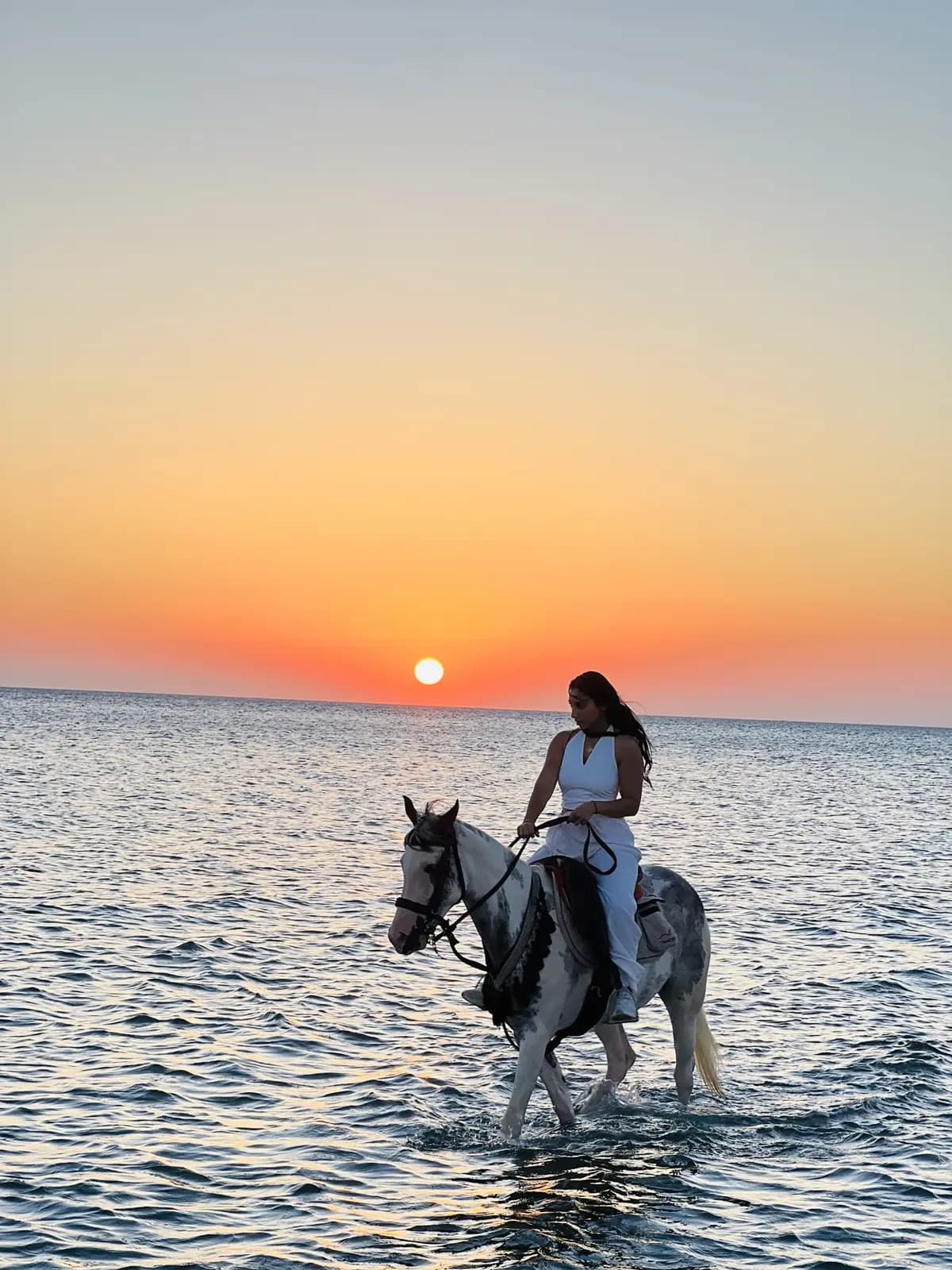 Balade à cheval au coucher du soleil, mer Rouge